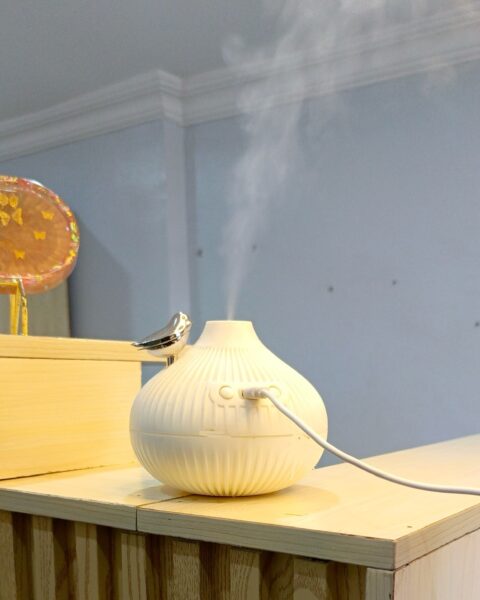 Onion Humidifier