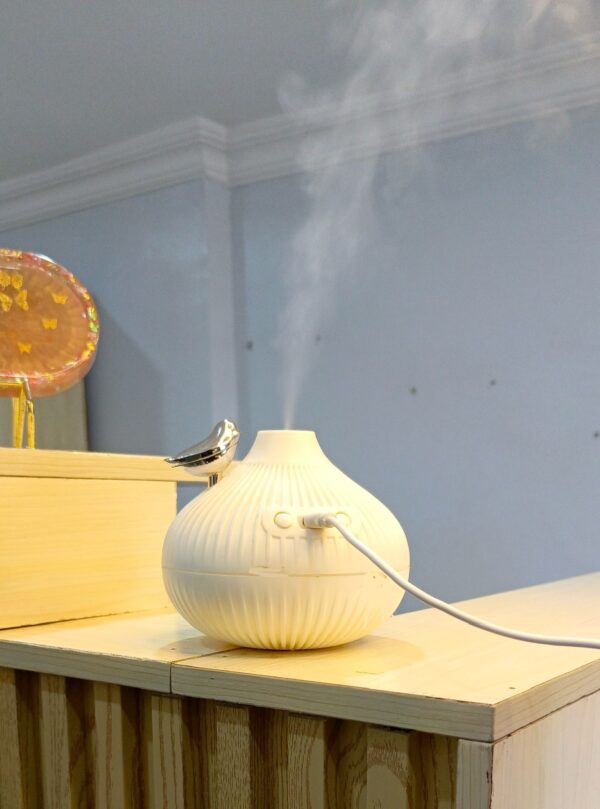 Onion Humidifier