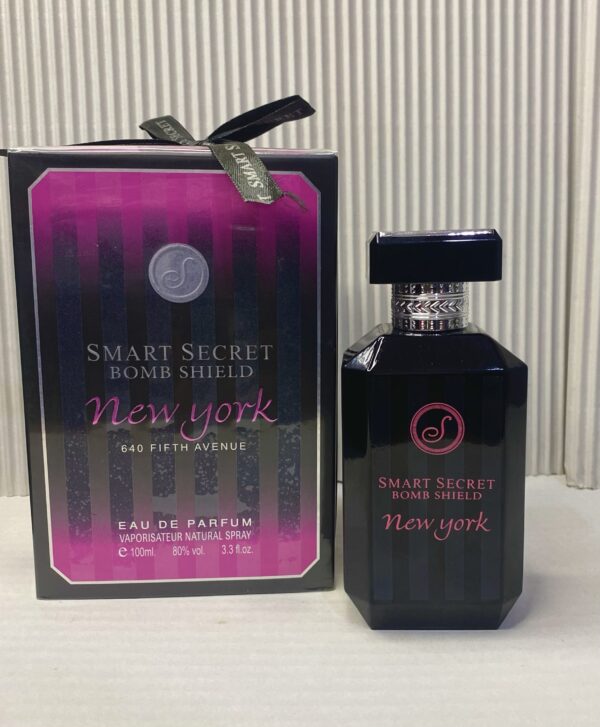 SMART SECRET BOMB SHIELD (New York)